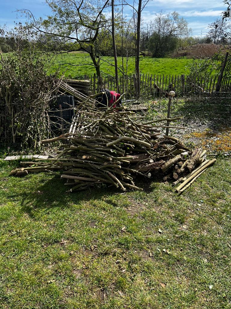 Gratis fijn brandhout, Tuin en Terras, Brandhout, Ophalen