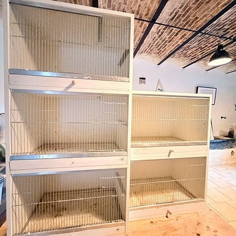 Cage d’élévage, Animaux & Accessoires, Autres accessoires pour animaux, Utilisé, Enlèvement