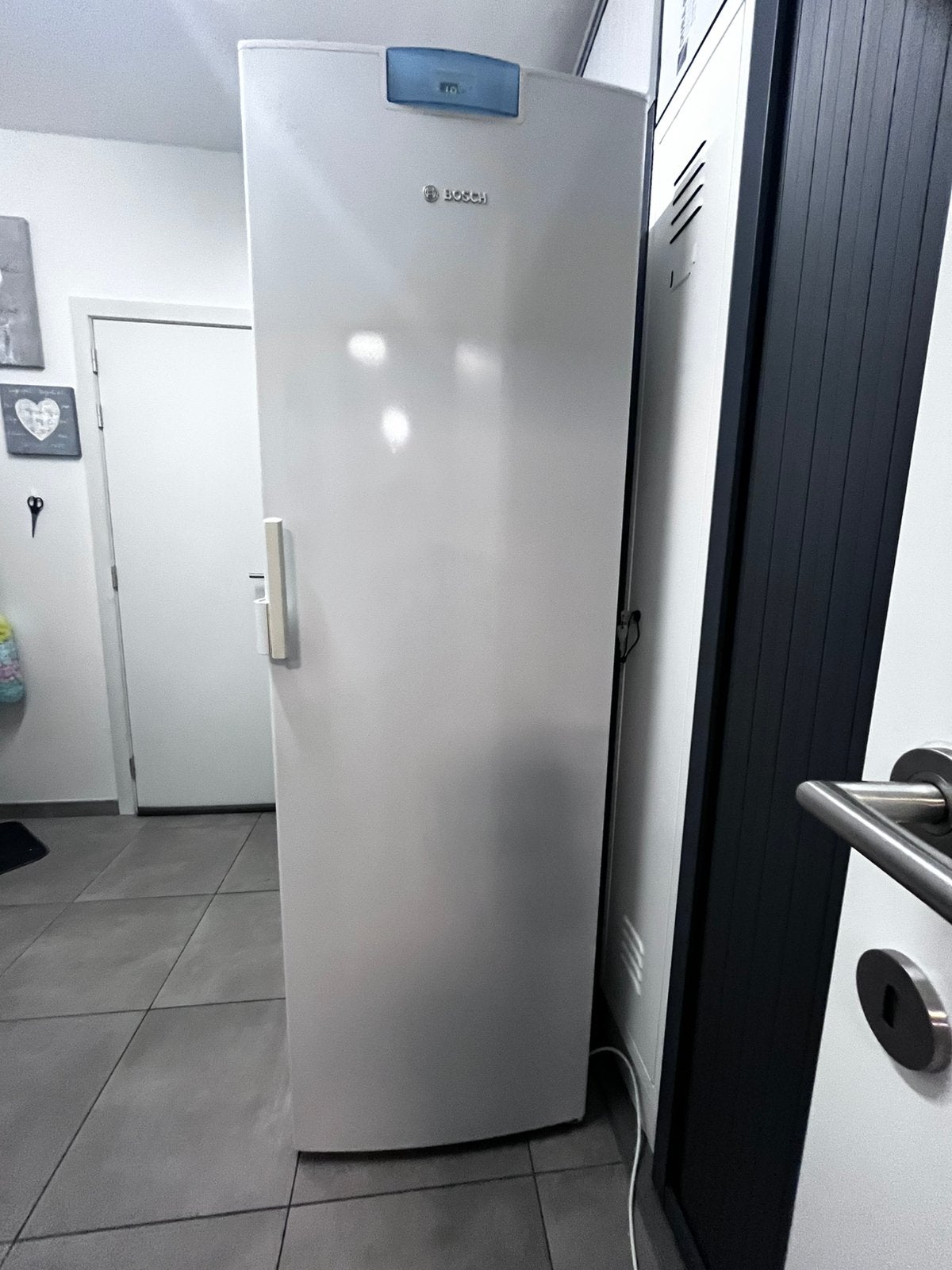 Diepvries kast Bosh, Electroménager, Congélateurs, Congélateur, 160 cm ou plus, Enlèvement, Utilisé