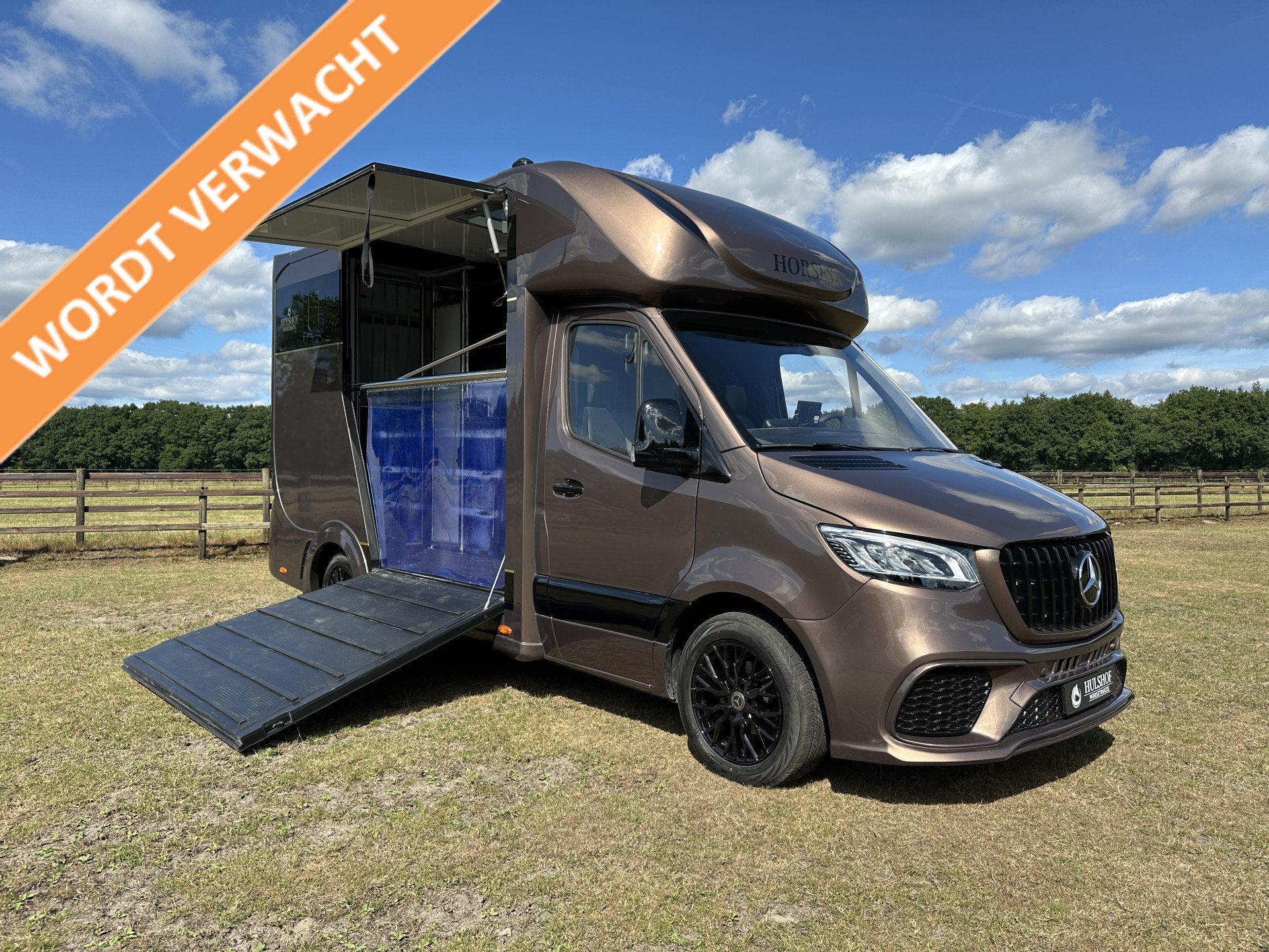 Mercedes-Benz Sprinter 317 AMG 2-paards paardenvrachtwagen B, Dieren en Toebehoren, Hulshof-Trading, Info@hulshof-trading.nl, Harskamperweg 60
3774JR  KOOTWIJKERBROEK, NL