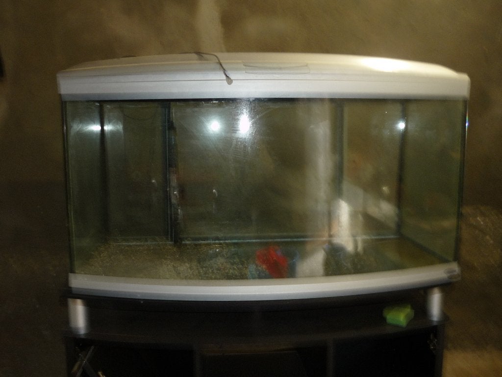 aquarium 110 cm met gebogen glas, Ophalen, Gebruikt, Aquatlantis, Inclusief deksel