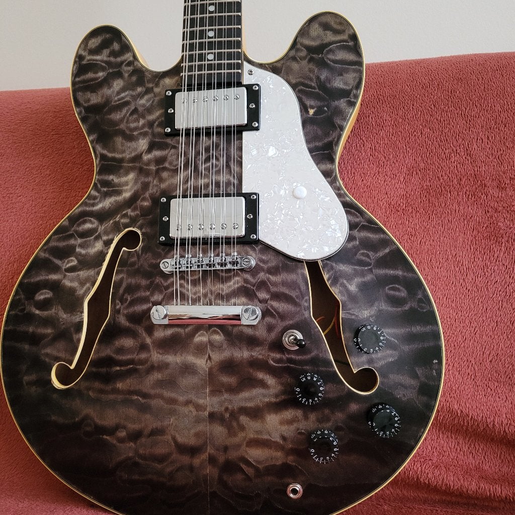 MADN 12 string, Muziek en Instrumenten, Ophalen, Zo goed als nieuw, Semi-solid body, Overige merken