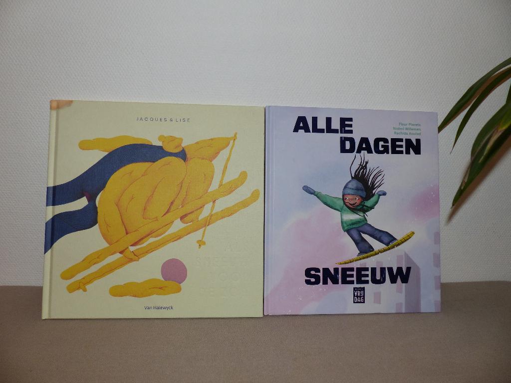 Boeken over skieën en sneeuw, Boeken, Kinderboeken | Jeugd | 13 jaar en ouder, Zo goed als nieuw, Ophalen of Verzenden