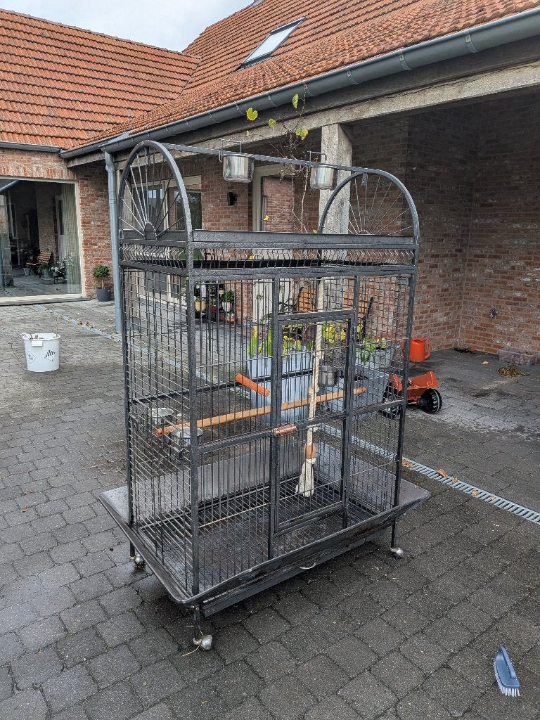 Papegaaien kooi, Dieren en Toebehoren, Ophalen, Gebruikt, Aluminium, Vogelkooi