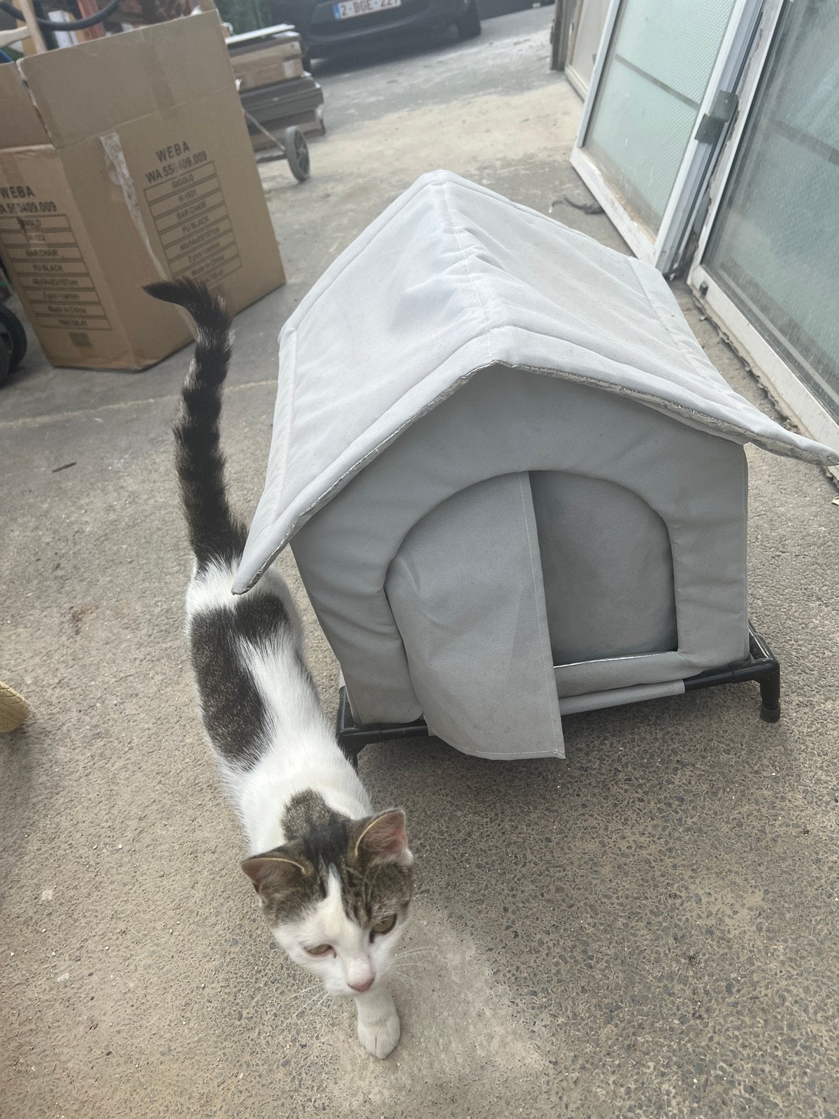 Kattenhuis, Ophalen, Zo goed als nieuw