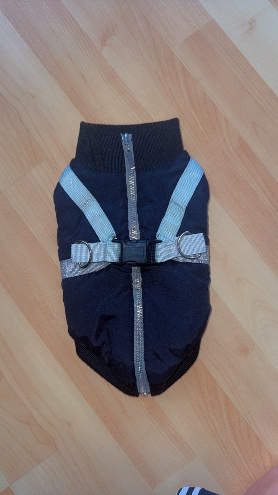 Veste pour chien, Dieren en Toebehoren, Hondenkleding, Ophalen, Zo goed als nieuw