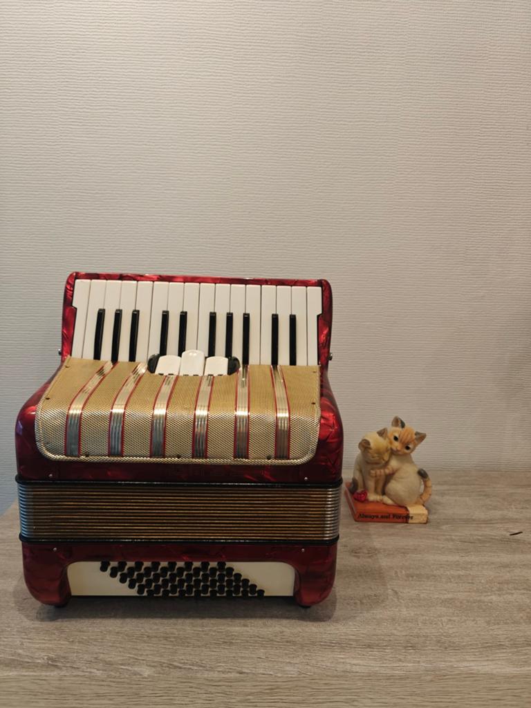 Hohner Stundent V, Muziek en Instrumenten, Accordeons, 48-bas, Met riemen, Zo goed als nieuw, Hohner