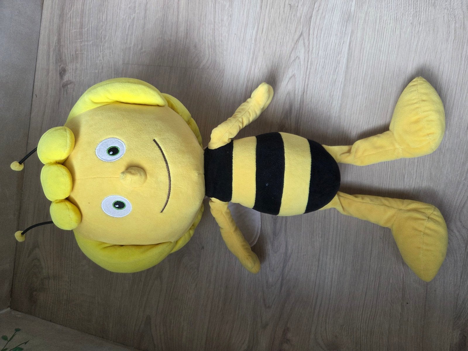 Peluche Maya, Enlèvement ou Envoi