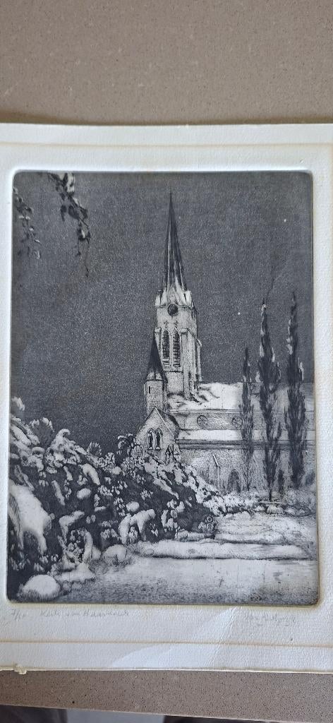 Ets Van Akeleyen, Antiek en Kunst, Kunst | Etsen en Gravures, Ophalen