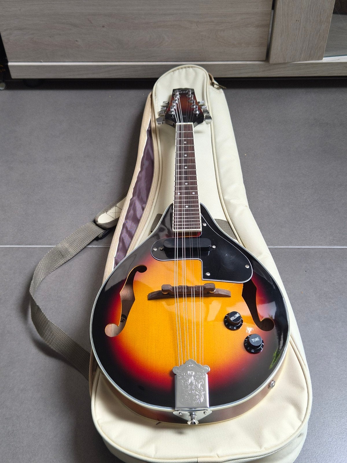 elektrische mandoline, Musique & Instruments, Enlèvement, Comme neuf