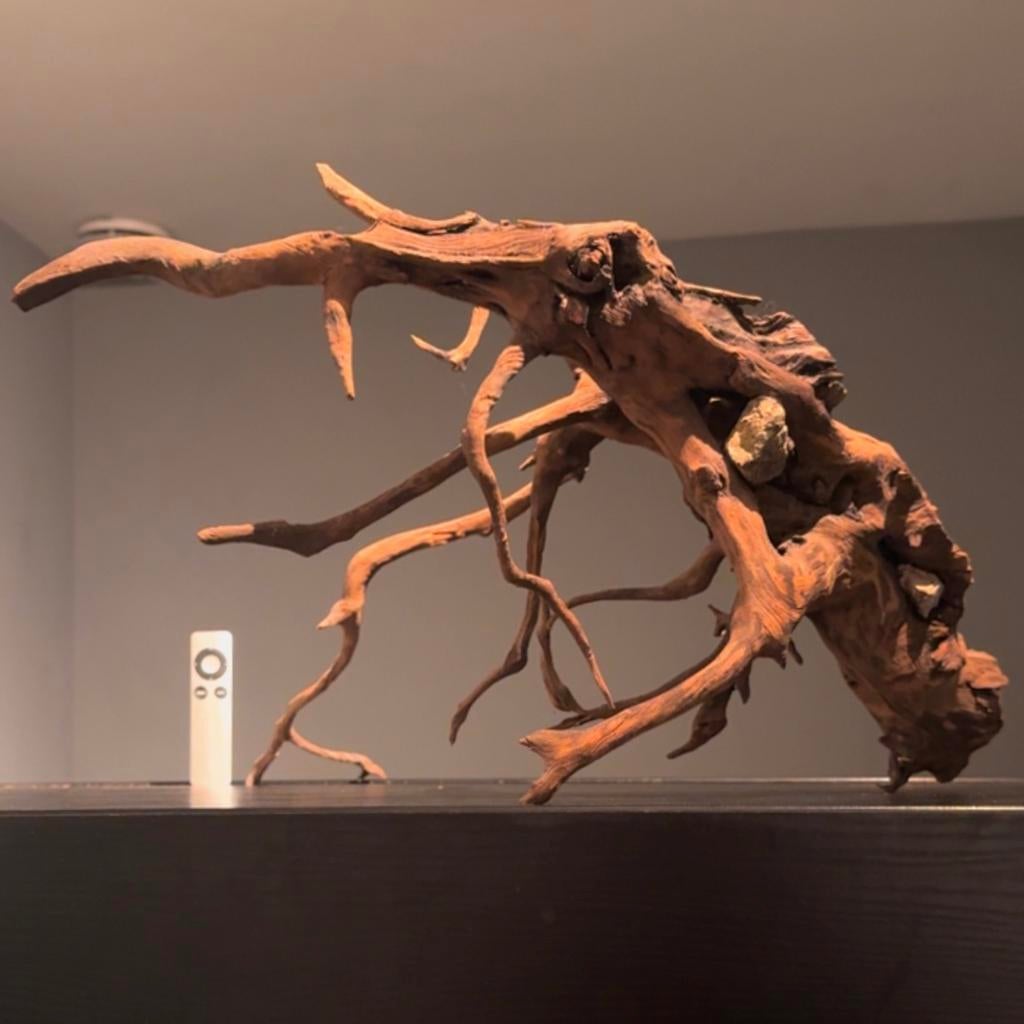 Groot stuk Spiderwood / Driftwood / Kienhout, Hout Decoratie, Dieren en Toebehoren, Ophalen of Verzenden, Zo goed als nieuw, Decoratie