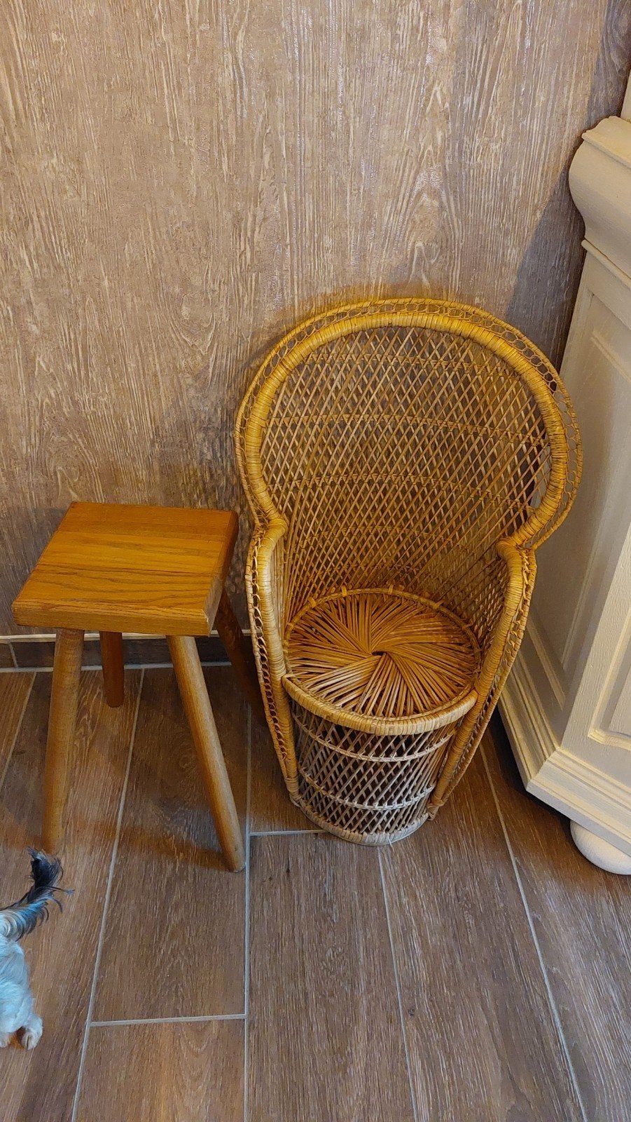 Lot de 2 supports de plantes, Ophalen