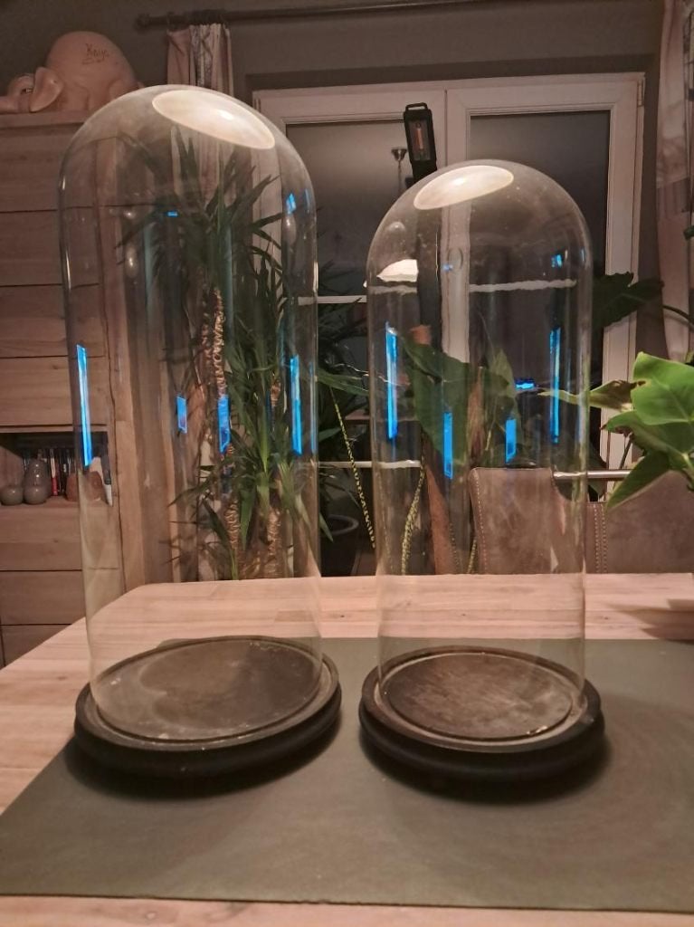 cloches anciennes âgées de +- 120 ans, Verre, Enlèvement, Comme neuf, Fait main