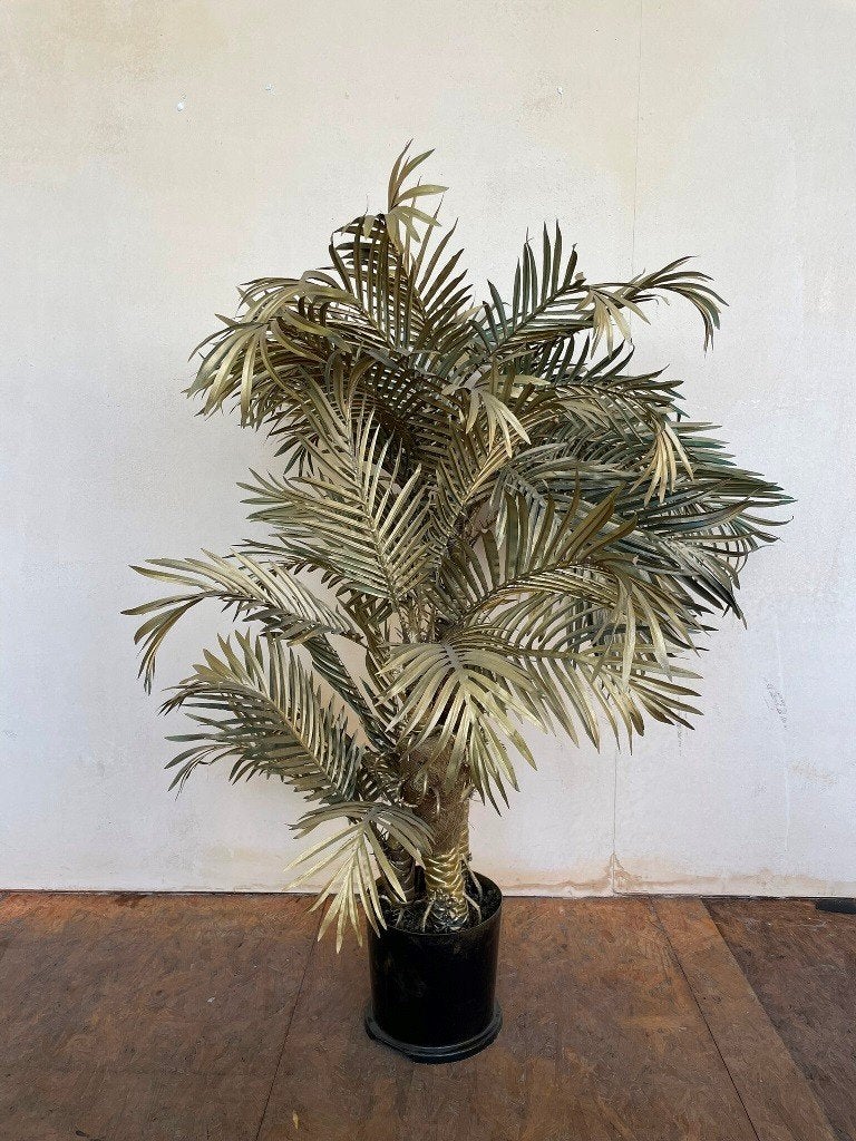 Plante artificielle  @ OXFAM Solidarité, Intérieur, Plante artificielle, Enlèvement, Utilisé