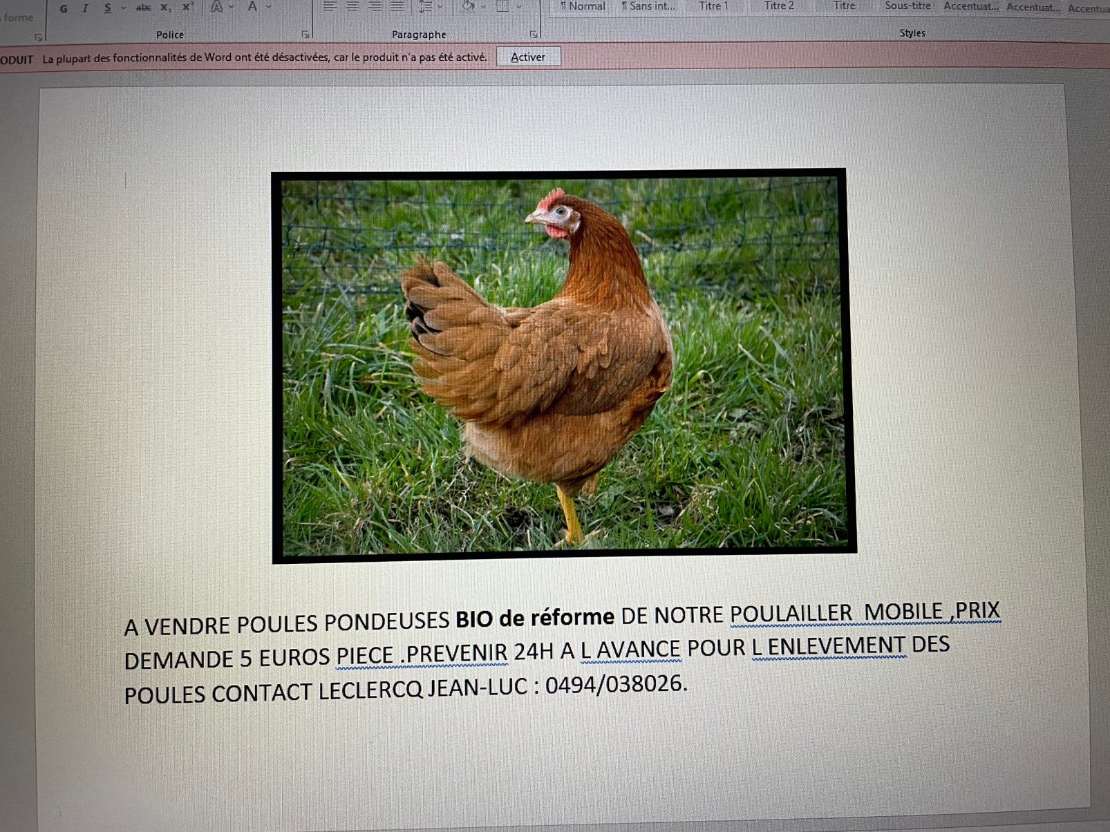 Poule pondeuse bio de réforme, Animaux & Accessoires, Enlèvement, Utilisé