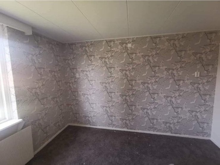 Vous recherchez un peint à Anvers ou dans les environs ?, Bricolage & Construction, Enlèvement ou Envoi