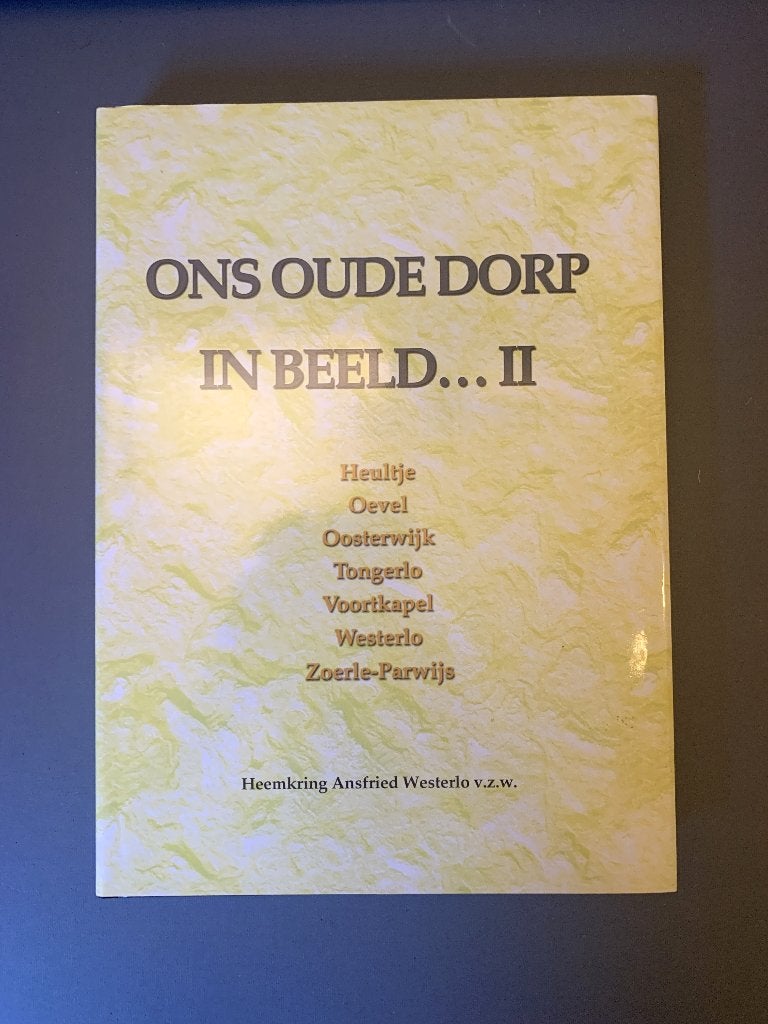 Ons Oude Dorp in Beeld Heultje Oevel Oosterwijk Tongerlo enz, Boeken, Ophalen of Verzenden, Zo goed als nieuw, Overige onderwerpen