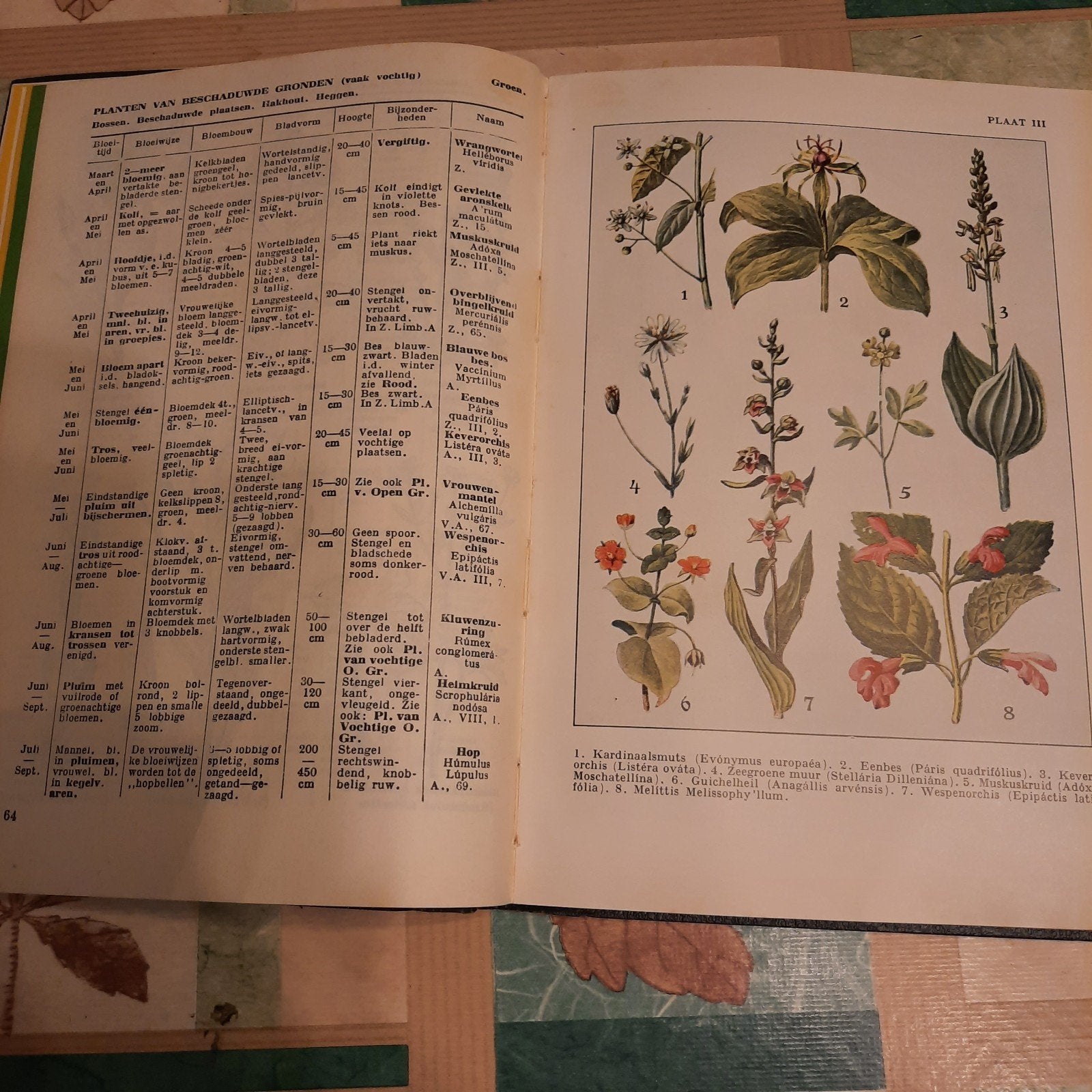 bonsai.snoei.roos.kamerplanten.bloemschikken en, Ophalen