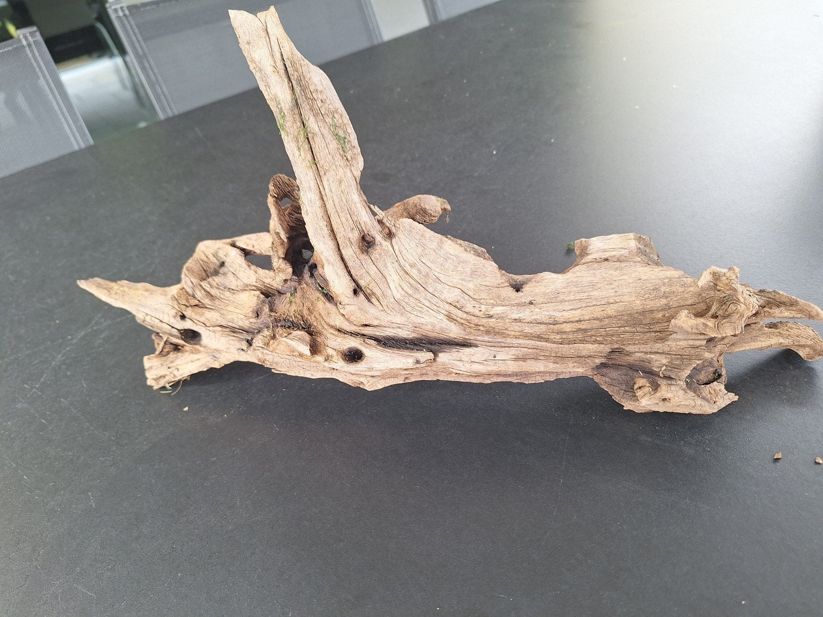 aquarium hout, Ophalen