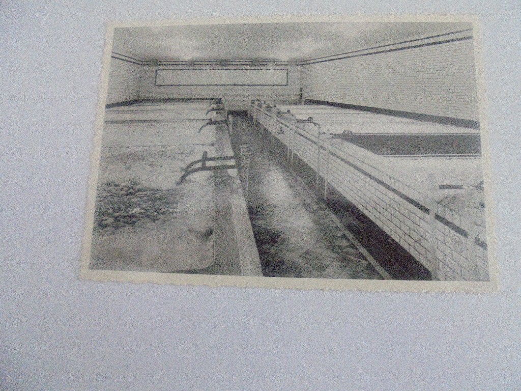 brouweij piedboeuf, Ophalen of Verzenden, Zo goed als nieuw, Overige typen, Overige merken