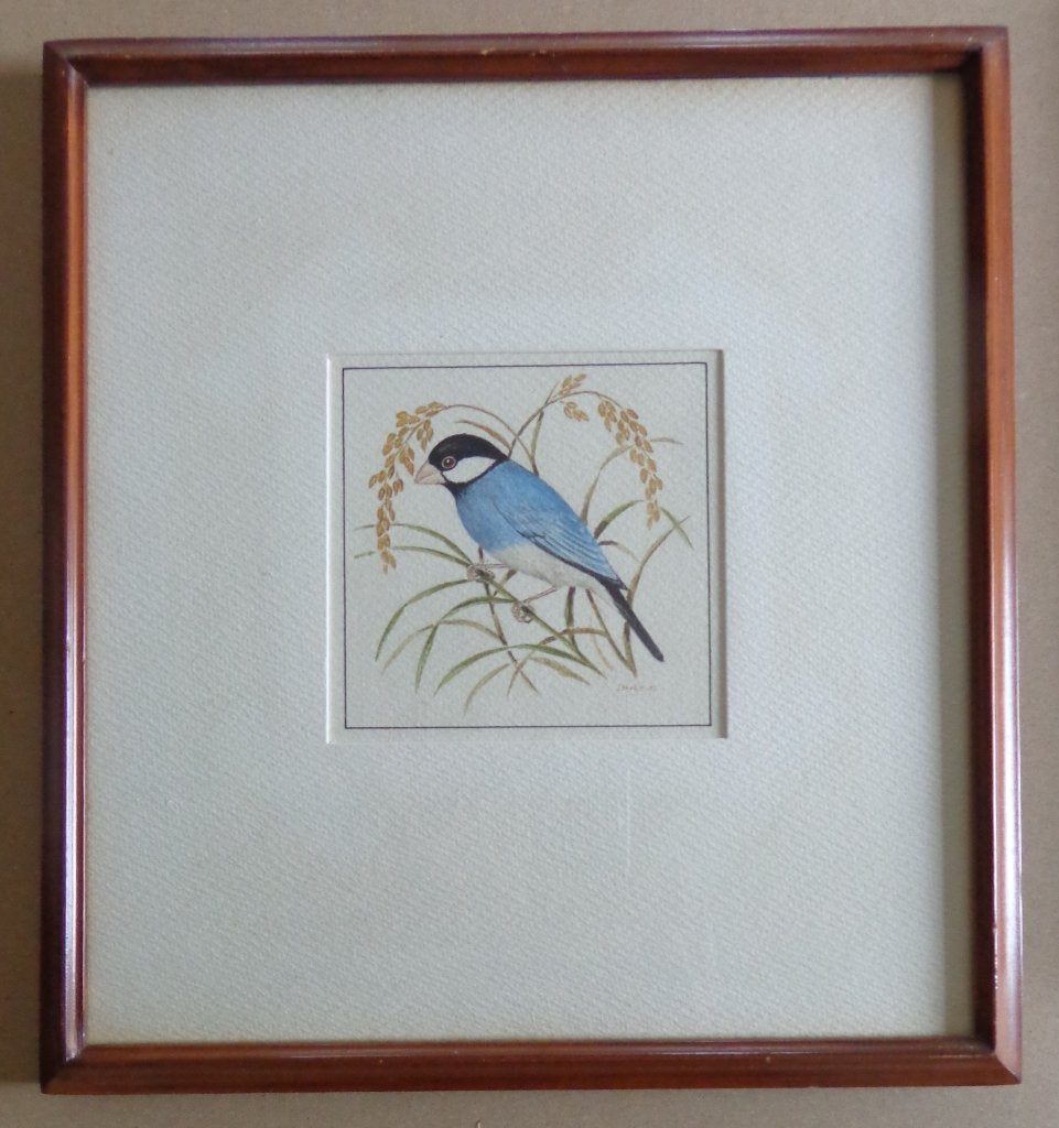 JACOBS / LOT 3 STUKS / VOGELS / ORIGINEEL / 31x29cm / KADER, Antiek en Kunst, Aquarel, Papier/karton, Ophalen of Verzenden, Dieren