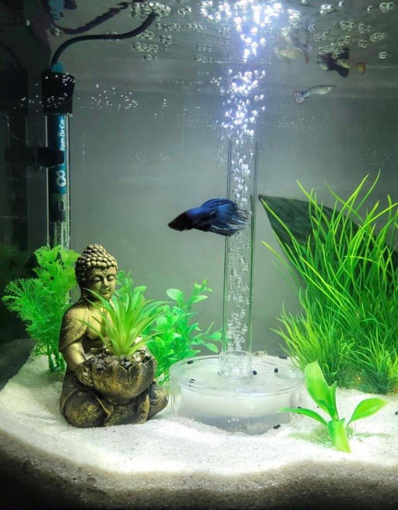 aquarium, Ophalen, Gebruikt