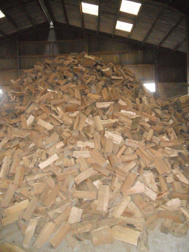 Bois de chauffage belge à vendre, Moins de 3 m³, Enlèvement, Frêne, Bûches