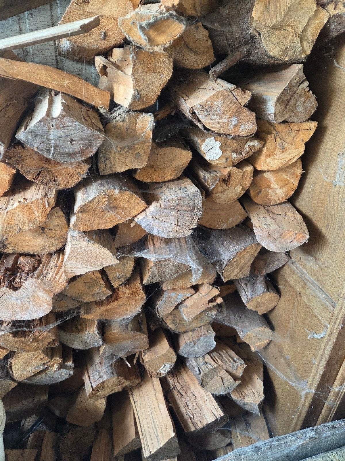 Gedroogd Denne hout te koop, Moins de 3 m³, Enlèvement, Autres essences de bois, Bûches