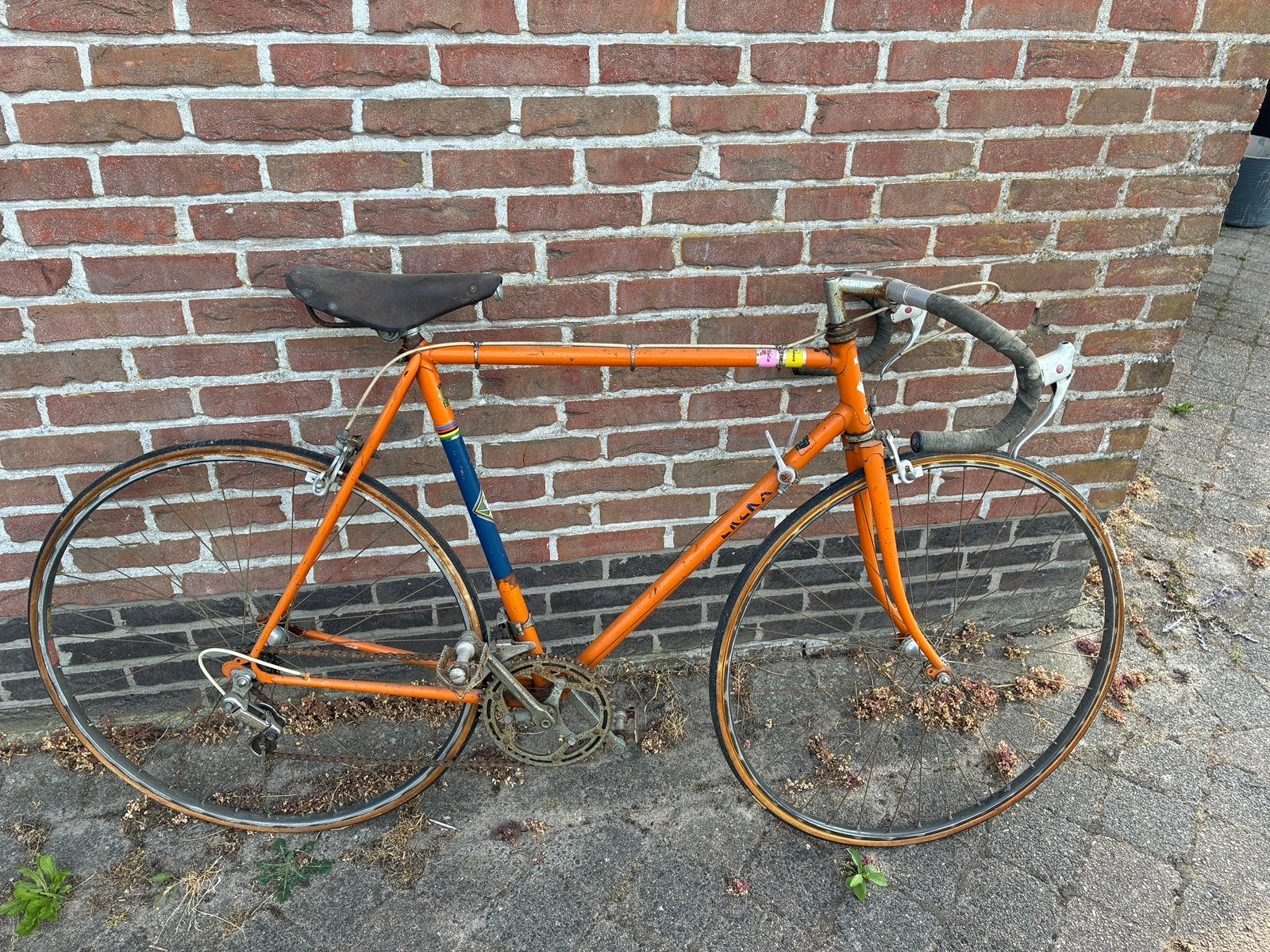 Merckx / kessels te koop molteni kleur, Fietsen en Brommers, Ophalen