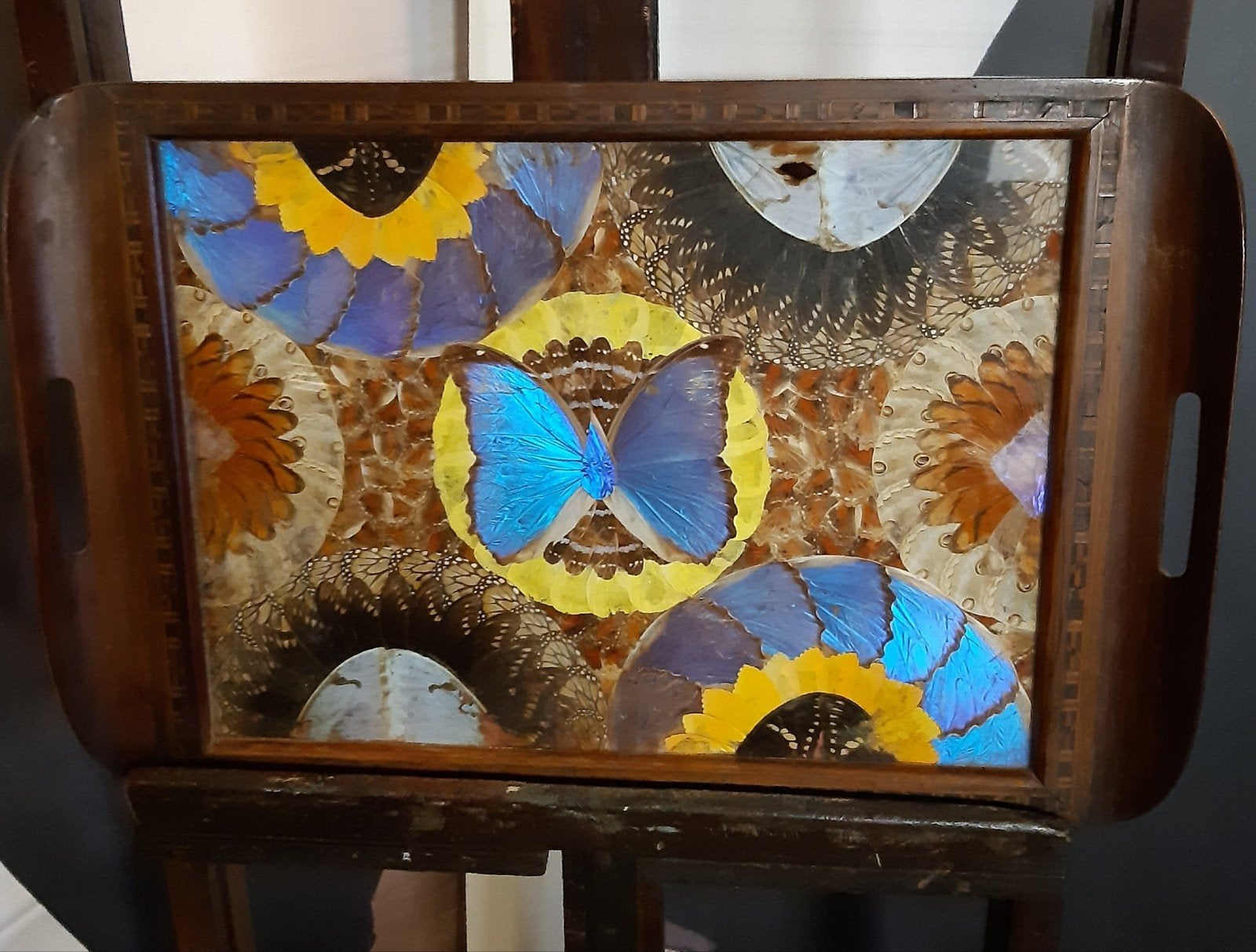 Decoratieve antieke Braziliaanse vlindertray, Verzamelen, Automaten | Flipperkasten, Ophalen