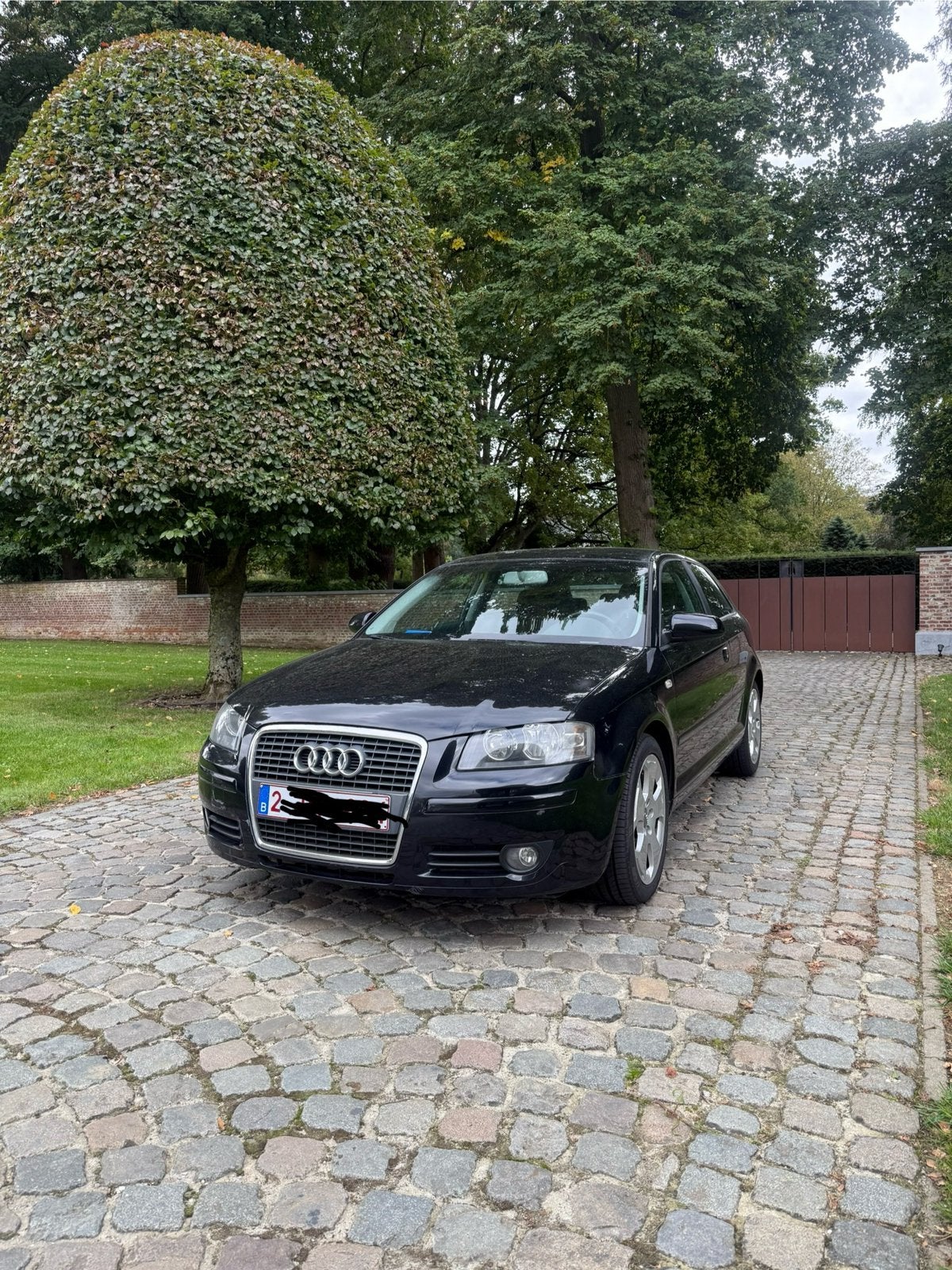 Audi A3 1.6 Benzine, Auto's, 75 kW, Parkeersensor, 4 cilinders, 1600 cc