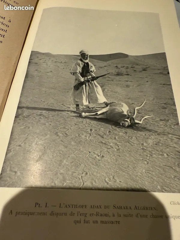 DE SAHARA, Émile-Félix Gautier Payot en Rivages, 1928, Verzenden
