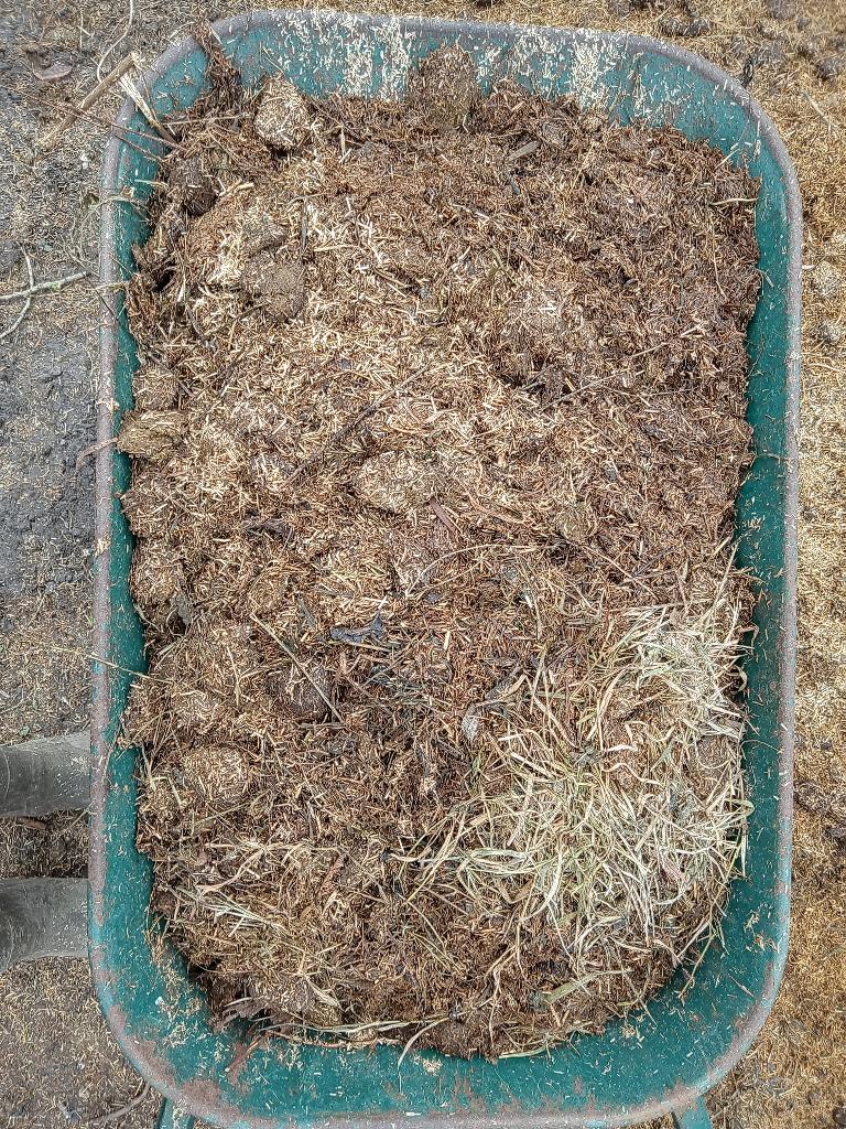 Gratis biologische paardenmest, Tuin en Terras, Aarde en Mest, Ophalen, Mest