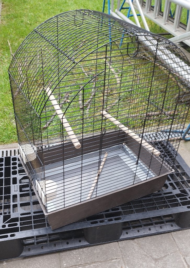 cage à oiseaux, cage à perroquets, Animaux & Accessoires, Enlèvement ou Envoi, Métal, Cage à oiseaux