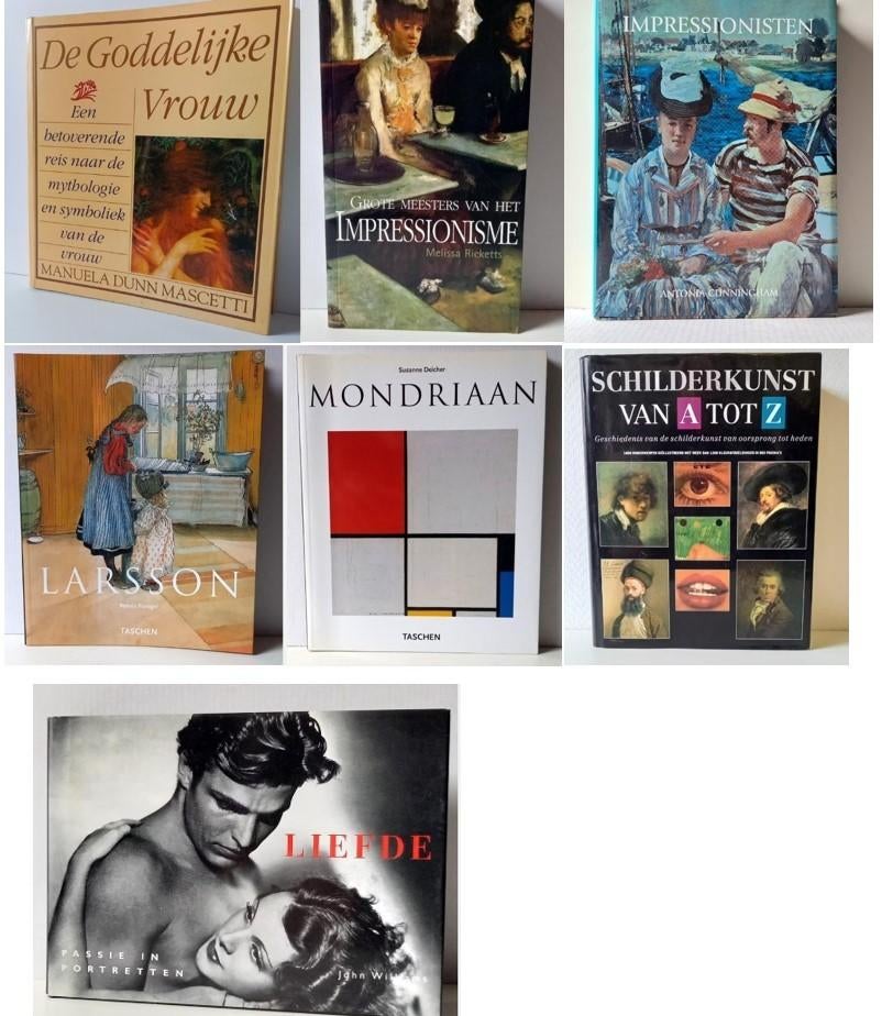 Boeken kunst, cultuur, schilderkunst e.a., Boeken, Ophalen of Verzenden, Gelezen, Overige onderwerpen