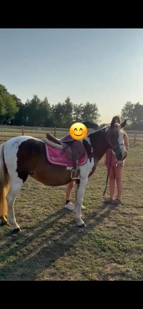 Weide maatje/projectpony, Animaux & Accessoires, Chevaux & Poneys | Étalons & Juments poulinières, Jument
