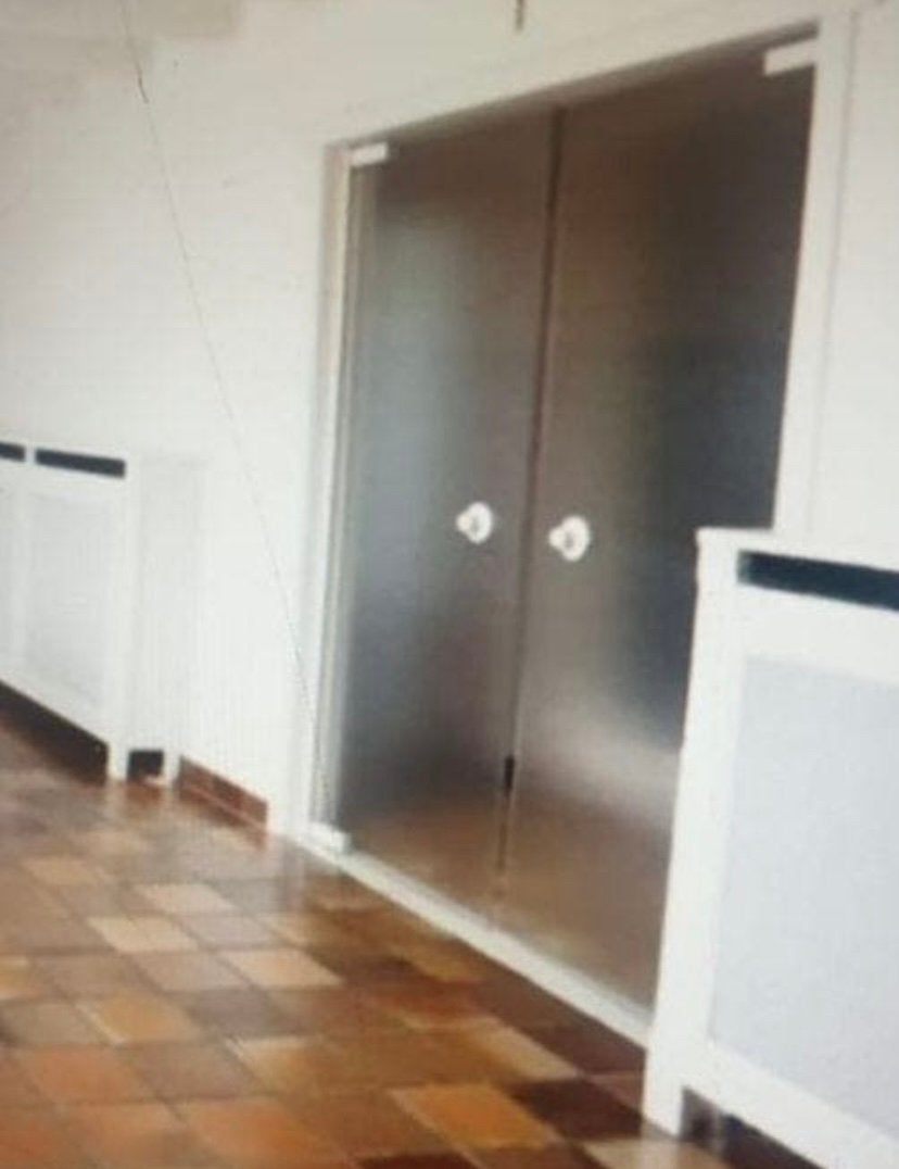 Glazen deuren hoogte 2m02, Doe-het-zelf en Bouw, Ophalen, Zo goed als nieuw