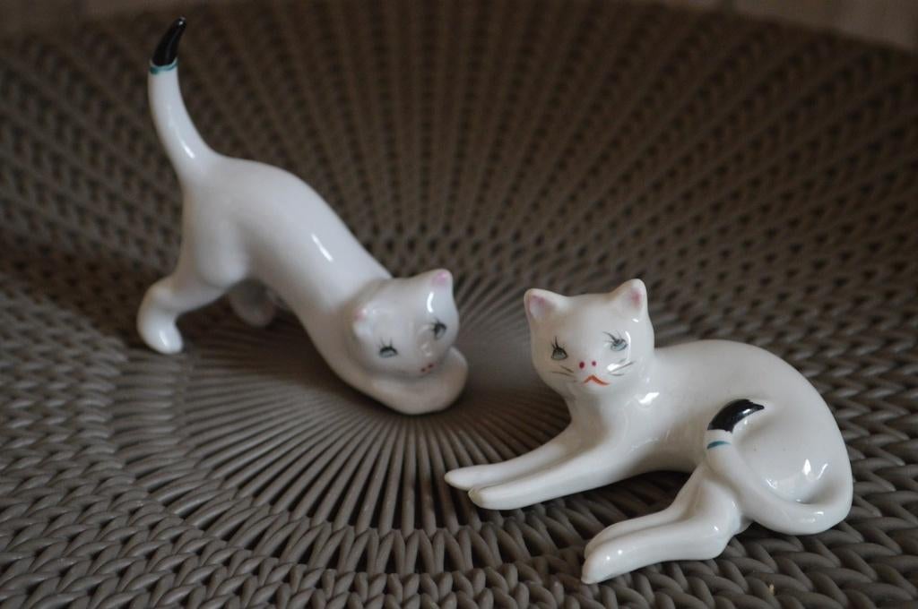 2 Witte poezen met zwart staartpuntje, Ophalen of Verzenden, Zo goed als nieuw, Dier