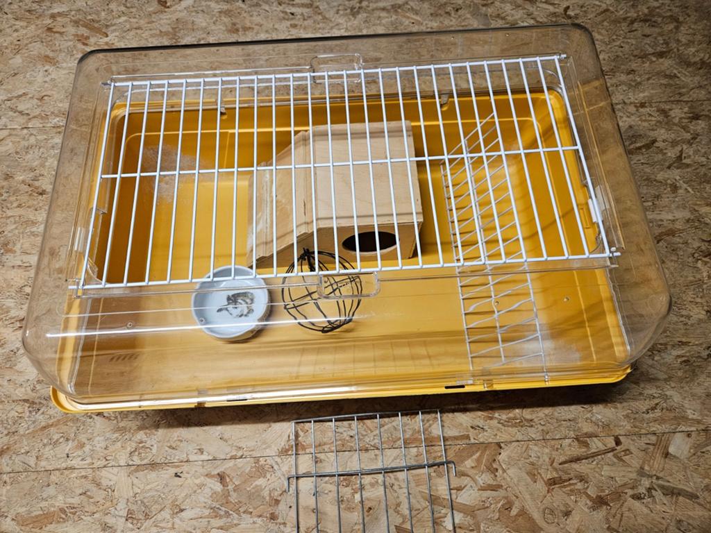 Cavia / dwergkonijn hok / kooi, Enlèvement, Cage, Cobaye