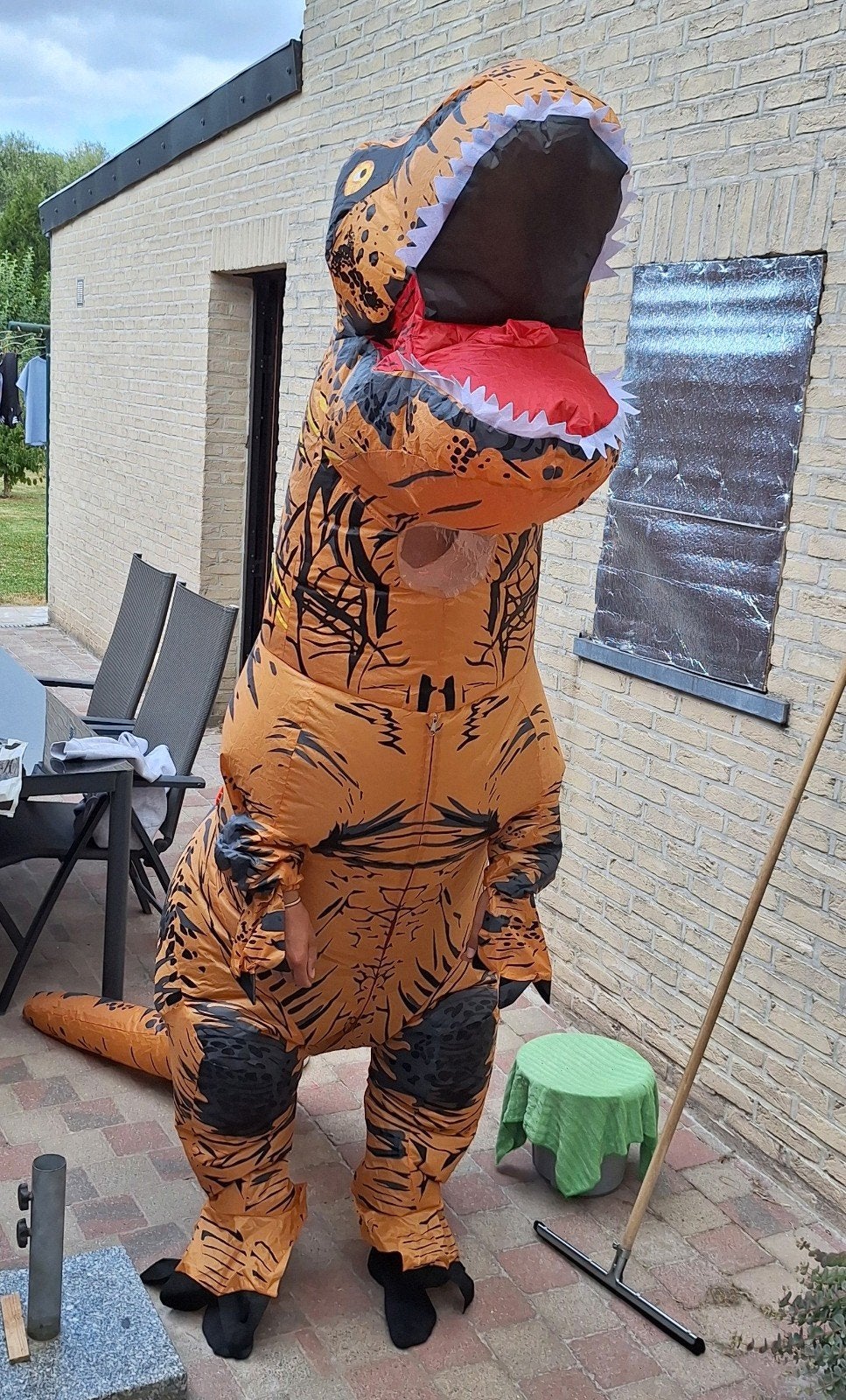 Dino pak opblaasbaar t-rex, Ophalen