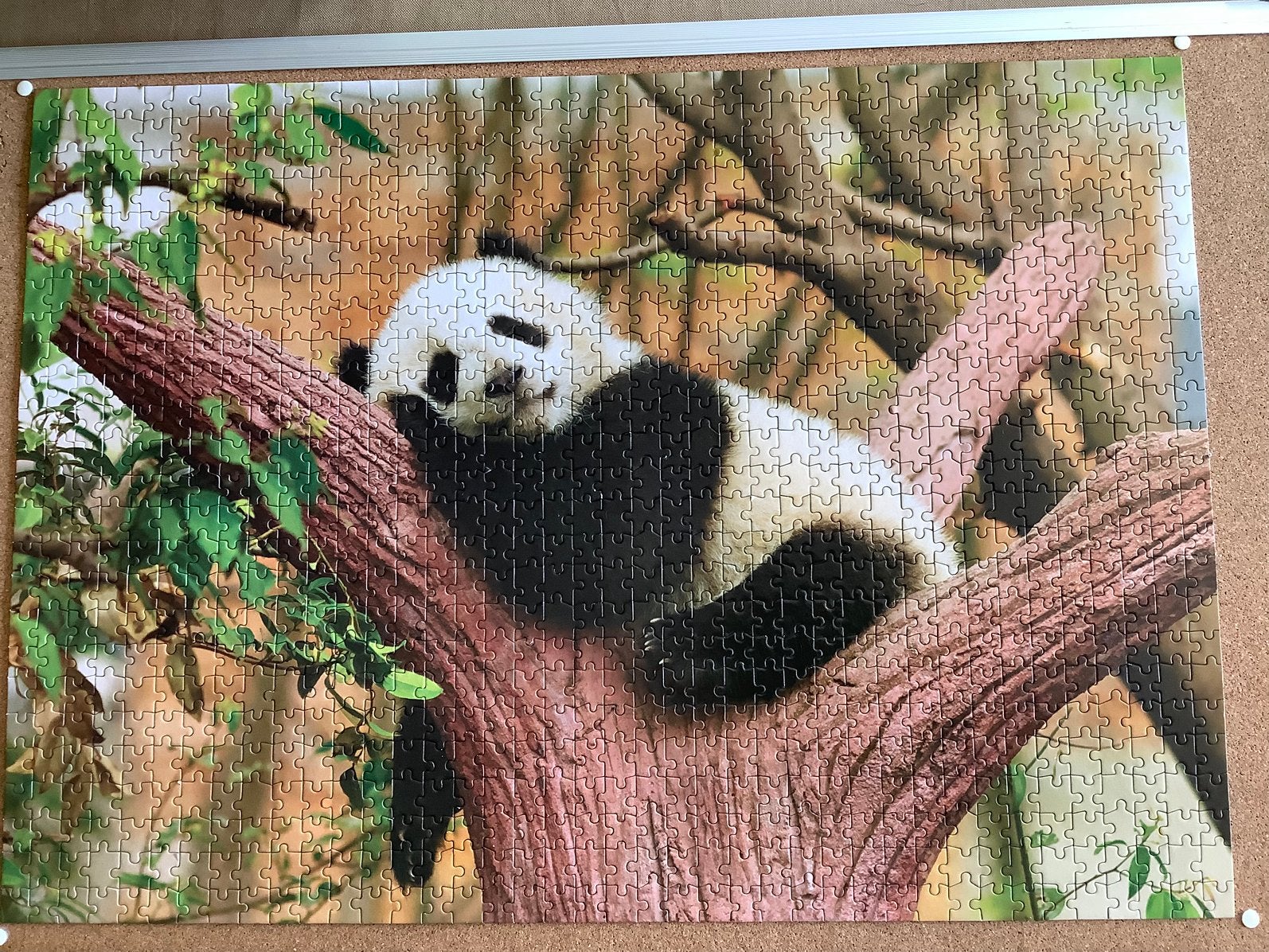 Puzzel 1000 stuks pandabeer 50 x 70 cm, Ophalen, 500 t/m 1500 stukjes, Zo goed als nieuw, Legpuzzel
