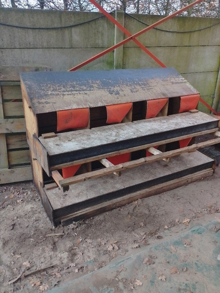 Kippen leg nest, Dieren en Toebehoren