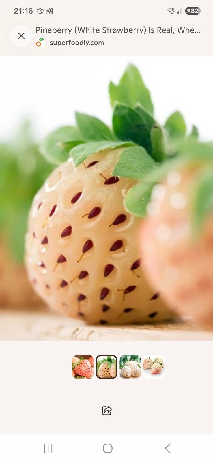 Aardbeien/ananasaardbeien 20st/5eu, Ophalen