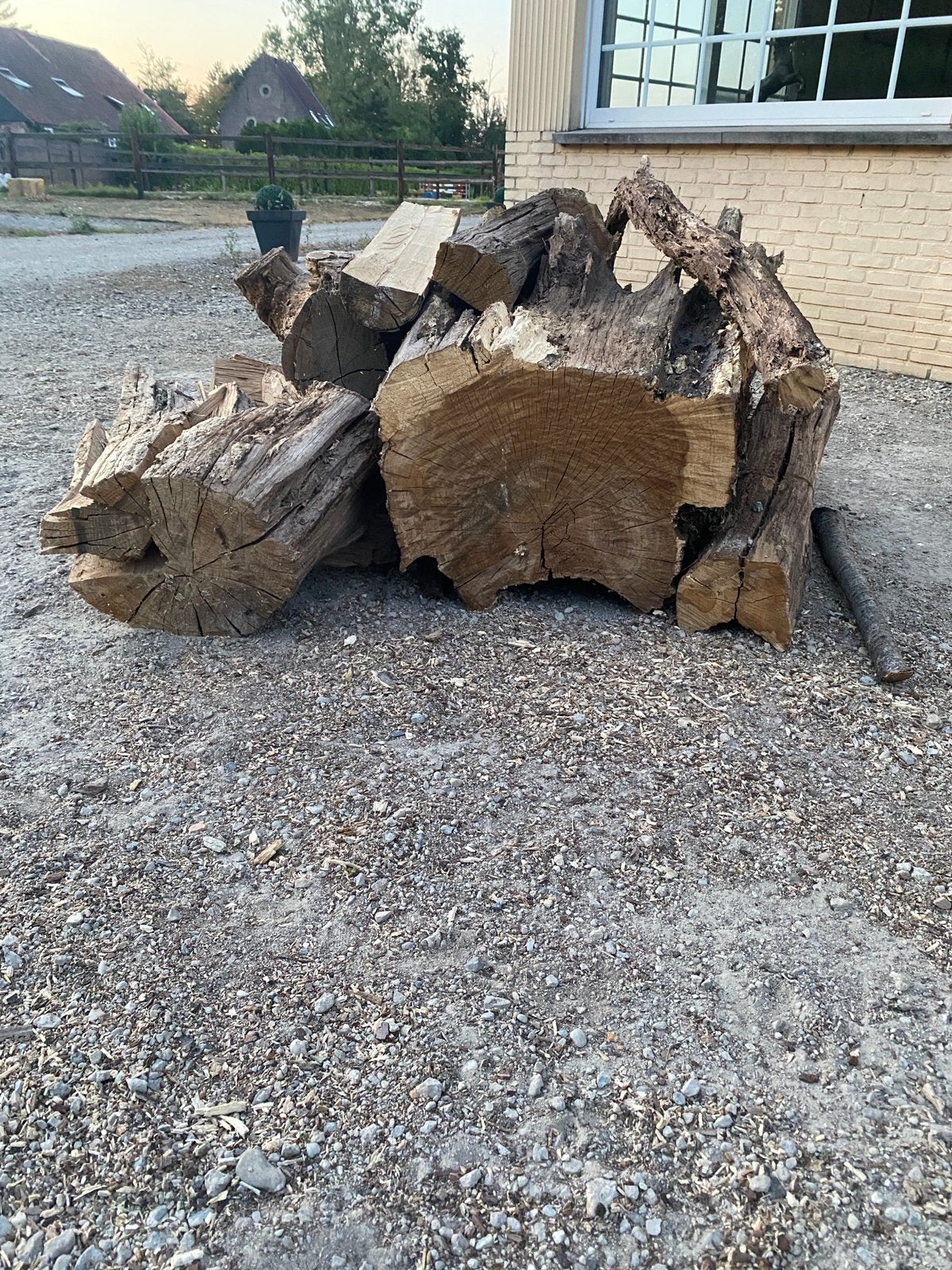 Lot hout, Ophalen