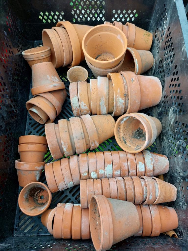 Pots en terre cuite (différentes tailles), Enlèvement, Terracotta