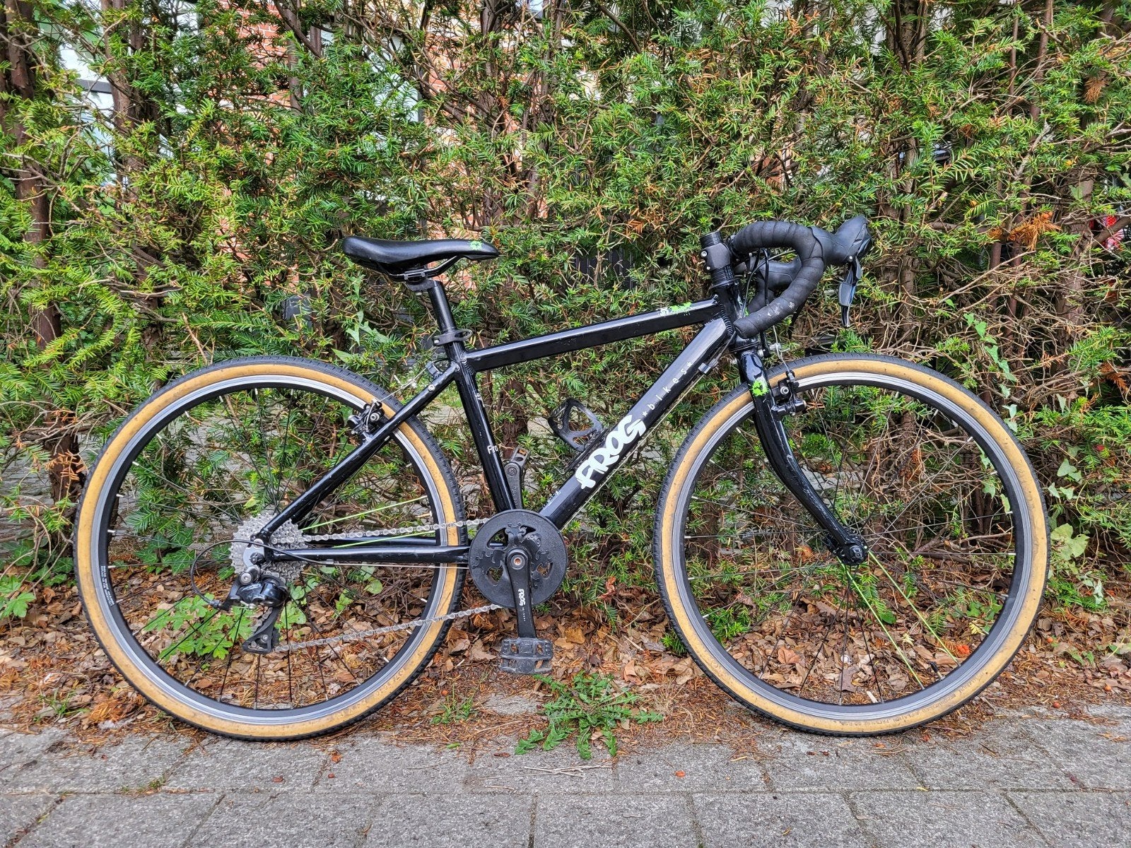 Frog 67 (24 inch) racefiets, Fietsen en Brommers, Ophalen, 20 inch of meer, Gebruikt, Frog Bikes
