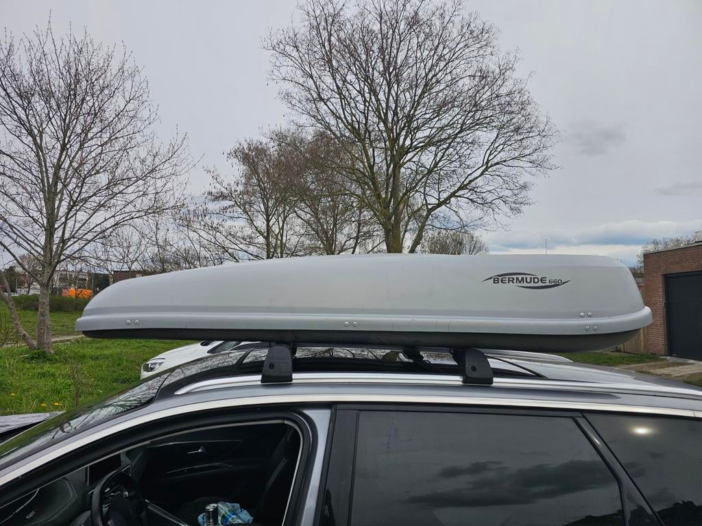 Bermude 660 XXL