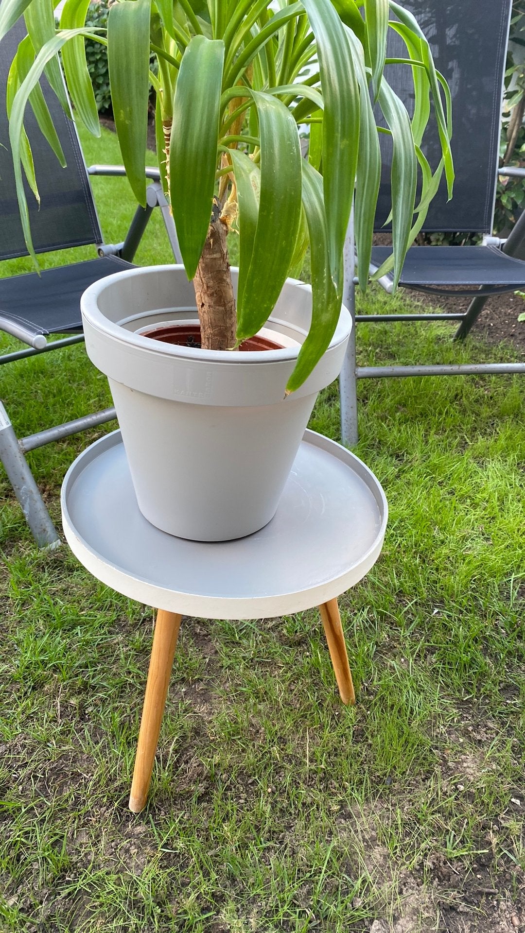 Table avec plante d'intérieur, Jardin & Terrasse, Enlèvement