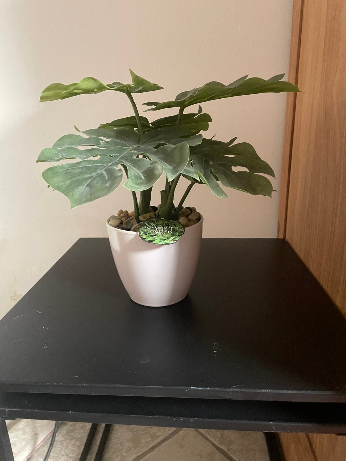 Kunstplant Monstera, Ophalen