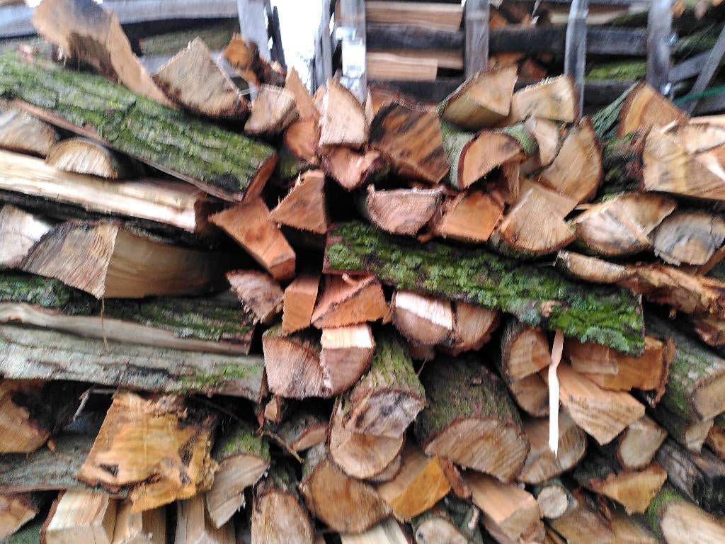 Halfdroog brandhout Els/Es en Eik, 6 m³ of meer, Ophalen, Overige houtsoorten, Blokken